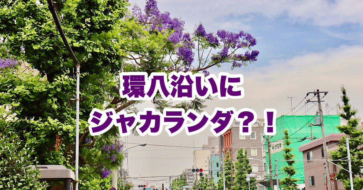 蒲田になぜ 世界三大銘木のジャカランダ 街かど情報 かまたマガジン